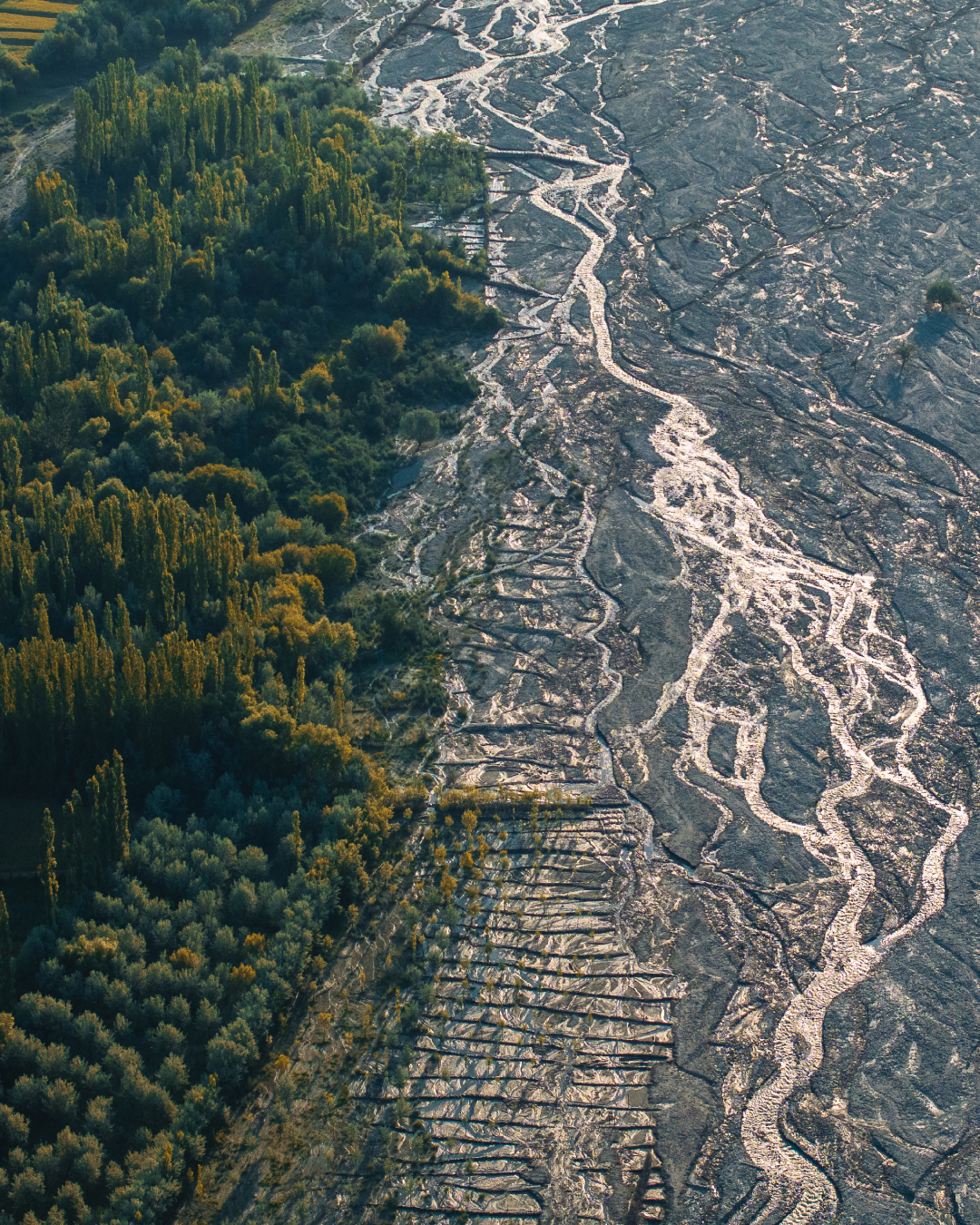 Shigar