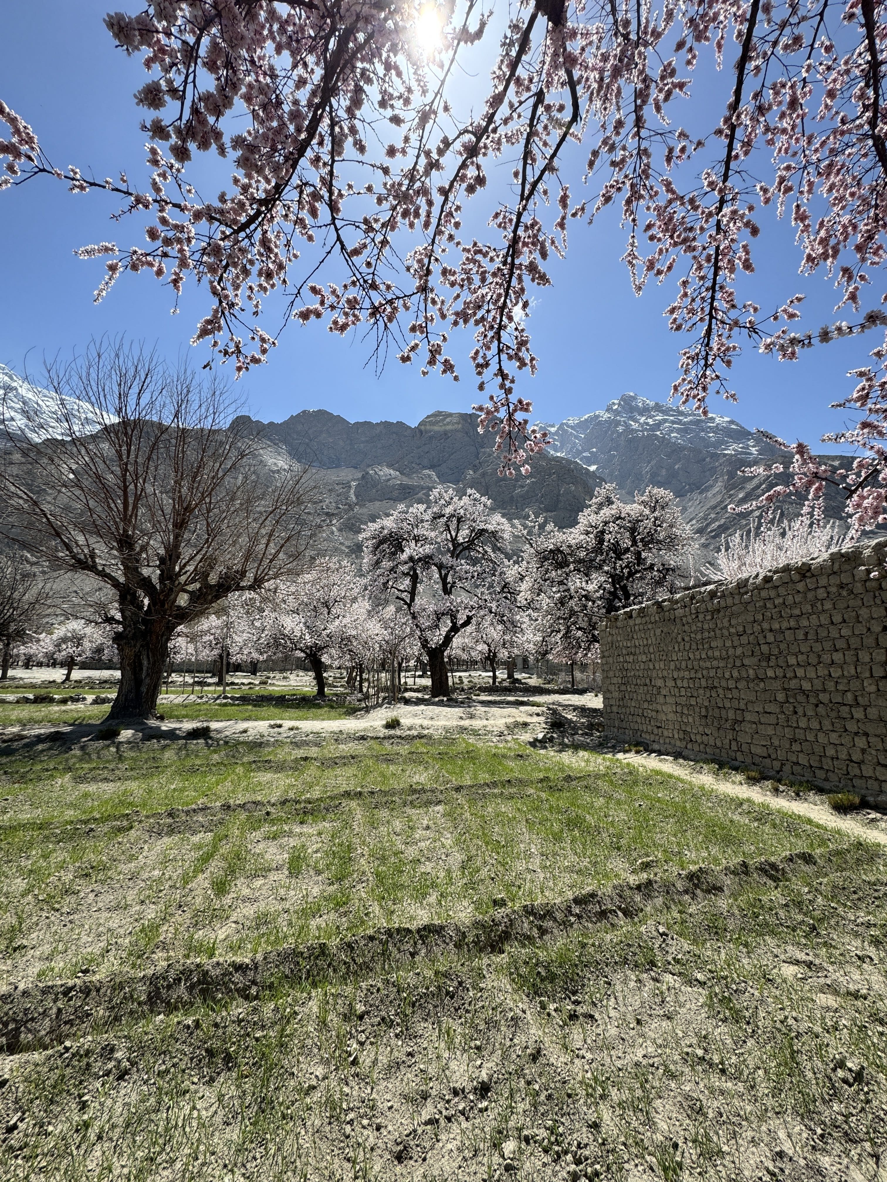 skardu