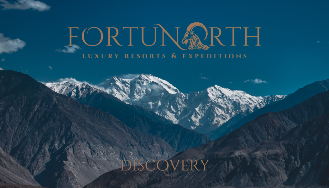 Join the FortuNorth family loyalty program